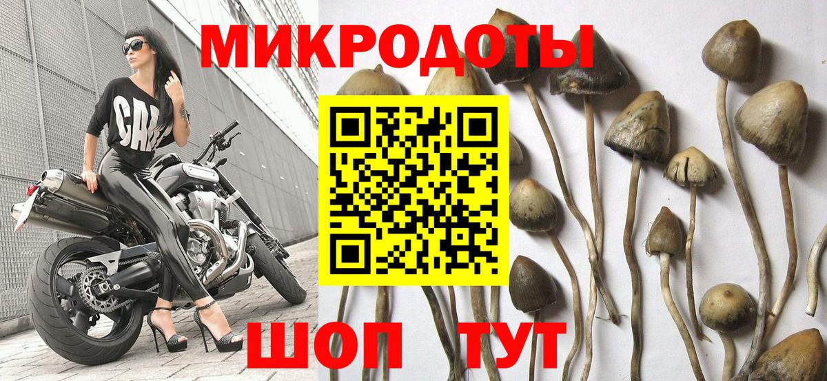 Назарово  купить   Вход с VPN  Псилоцибиновые грибы Psilocybe 